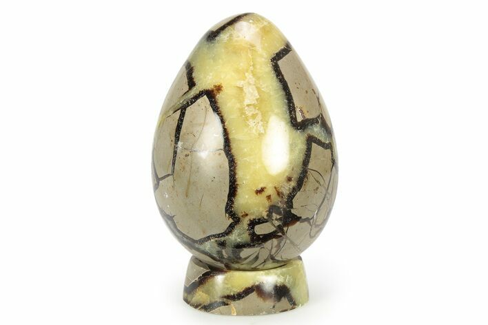 Polished Septarian Egg with Stand - Madagascar #252822